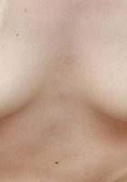 ATK Galleria: Celestina Blooms (Celestina Blooms Big Spreads)