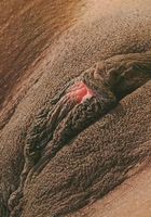 ATK Exotics: Charise (Charise in black women)