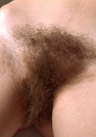 ATK Archives: Charlotte (Charlotte in amateur)