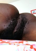 ATK Exotics: Charlotte (Charlotte in black women)