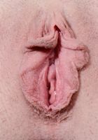 ATK Galleria: Chloe Foster (Chloe Foster in upskirts and panties)