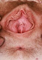 ATK Petites: Chloe Foster (Chloe Foster Sexy Skirt Strip)