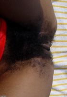 ATK Exotics: Coco (Coco in nudism)