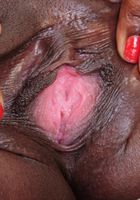 ATK Exotics: Coco Ferrari (Coco Ferrari in upskirts and panties)