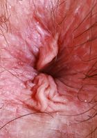 Annabelle Lee from ATK Petites