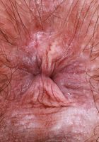 ATK Petites: Annabelle Lee (Annabelle Lee kicks things off)