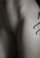 ATK Premium: Crystal (Crystal in artistic)