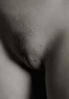 ATK Premium: Crystal (Crystal in artistic)