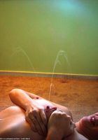 ATK Archives: Cypress (Cypress in amateur)