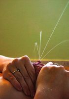 ATK Archives: Cypress (Cypress in amateur)