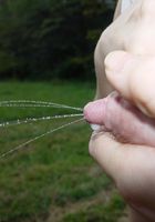 ATK Archives: Cypress (Cypress in nudism)