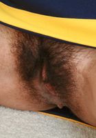 ATK Exotics: Daisy (Daisy in latinas)