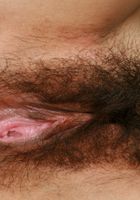 ATK Archives: Daisy (Daisy in)