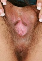 ATK Archives: Daisy (Daisy in)