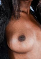 ATK Exotics: Daizy Cooper (Daizy Cooper in amateur)