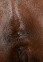 ATK Exotics: Daizy Cooper (Daizy Cooper in black women)