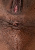 ATK Exotics: Daisy (Daisy in black women)