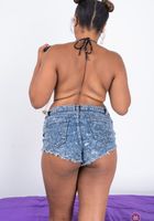 ATK Exotics: Daisy (Daisy in amateur)