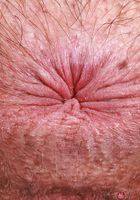 ATK Natural & Hairy: Dakota Marr (Dakota Marr in lingerie and a collar)