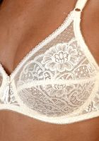 ATK Exotics: Danielle (Danielle in upskirts and panties)