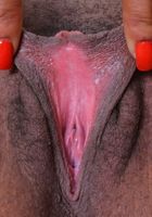 ATK Exotics: Danni Lynne (Nothing can contain Danni Lynne's boobs)