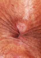 ATK Petites: Dani Diaz (Dani Diaz shows off her tight pussy)