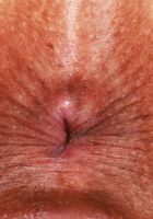 ATK Petites: Dani Diaz (Dani Diaz Green Lingerie)