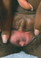 ATK Exotics: Davita (Davita in black women)