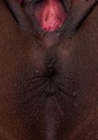 ATK Exotics: Daya Knight (Daya Knight in black women)