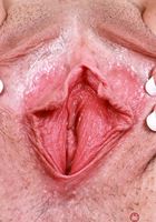 ATK Petites: Daydream Daisy (Daydream Daisy is a flower in bloom)