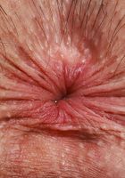 ATK Petites: Daydream Daisy (Daydream Daisy has what you need)