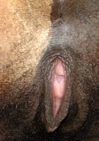 ATK Exotics: Nina Devon (Nina Devon's lovely pussy revealed)