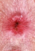 ATK Petites: Delilah Day (Delilah Day Skirt Tease & Spreading)