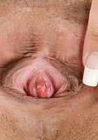 ATK Exotics: Destiny Lovee (Destiny Lovee in latinas)