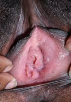 ATK Natural & Hairy: Janelle Taylor (Janelle Taylor in exotic and hairy)