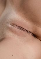 ATK Galleria: Dillion Harper (Coed Dillion Harper loves to tease with her shaved pussy and firm tits)