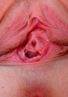 ATK Premium: Dolly Leigh (Dolly pulls her legs back and spreads her meaty pink twat)