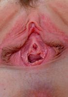 ATK Premium: Dolly Leigh (Dolly pulls her legs back and spreads her meaty pink twat)