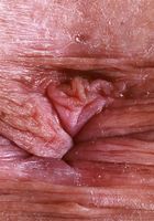 ATK Galleria: Dolly Paige (Dolly Paige has an adorable smile)