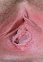 ATK Natural & Hairy: Dresden (Dresden in hairy fun)