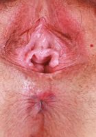 ATK Natural & Hairy: Dria Submits (Dria Submits Leaves Her Pussy Gaping)