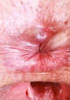 ATK Natural & Hairy: Dria Submits (Dria Submits Ass Up Hairy Pussy Spreads)