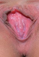 ATK Galleria: Eden Sin (Eden strips off her sexy lingerie and spreads)