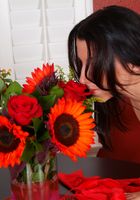 ATK Petites: Elle (Elle in lingerie)