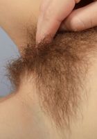 ATK Natural & Hairy: Ellie (Ellie in young and hairy)