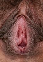 Ember Snow from ATK Exotics