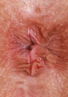 ATK Galleria: Emma Sirus (Emma Sirus Gets Down And Dirty Indoors)