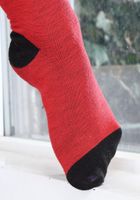 ATK Exotics: Esperanza Del Horno (Esperanza Del Horno in latinas)