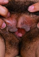 ATK Exotics: Eunique (Eunique has a wide-open hole)