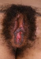 ATK Exotics: Eunique (Eunique in uniforms)